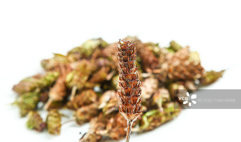 白底上放着夏枯草图片素材
