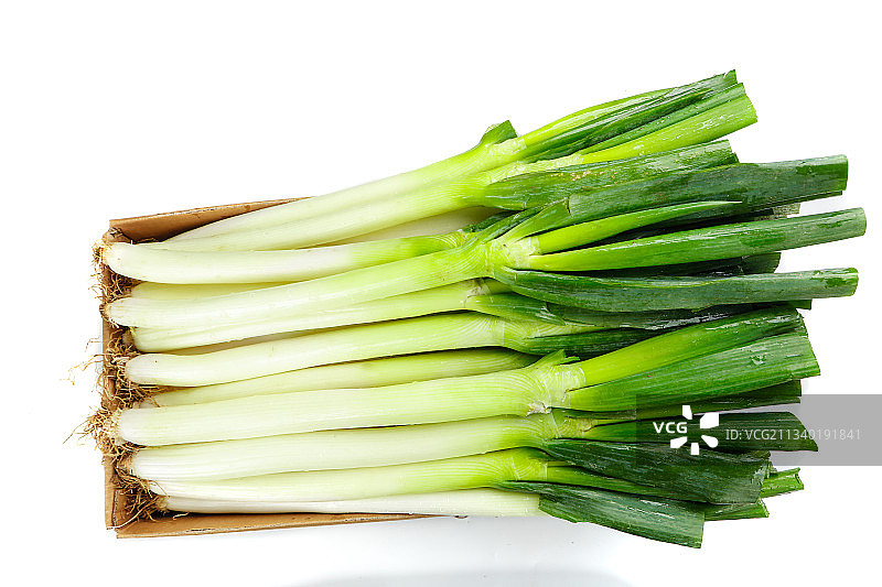 白底上的大葱图片素材