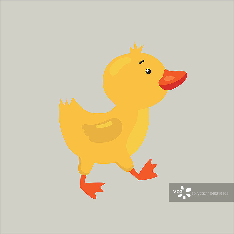 有趣的卡通小鸭子插画图片素材