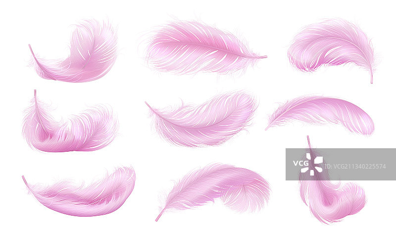 飘落的粉色蓬松羽毛图片素材