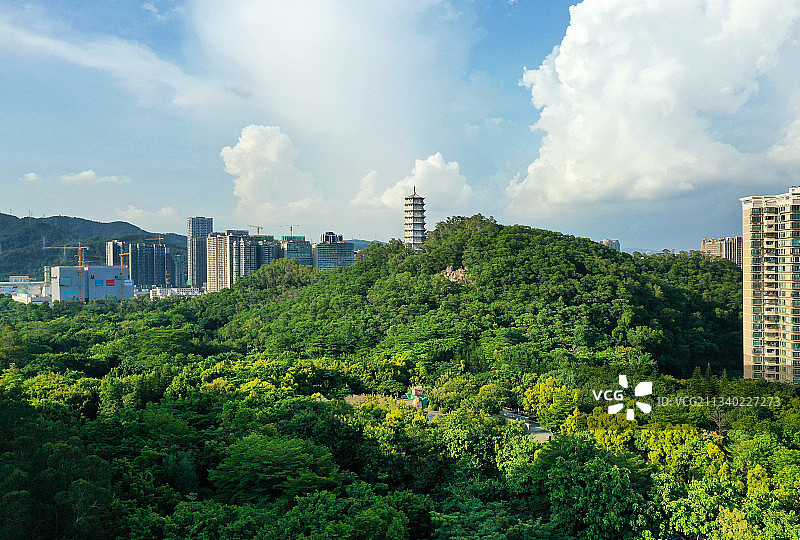 广东省深圳市福田区深圳国际园林花卉博览园航拍图片素材