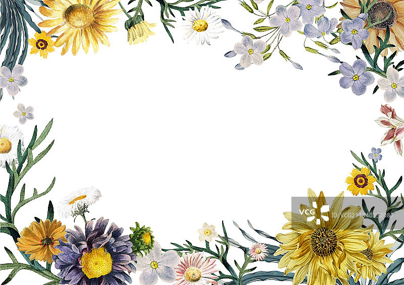 花卉边框背景图片素材