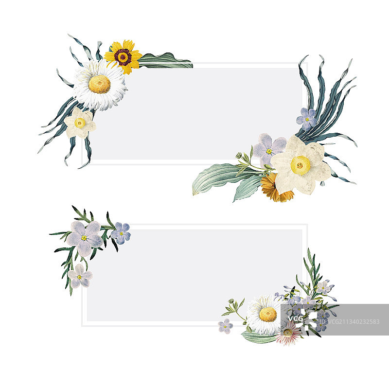 花卉夏季banner图片素材