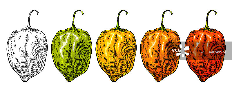 红色绿色黄色辣椒图片素材