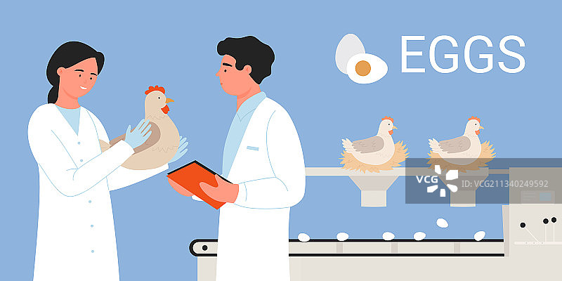 家禽食品工业鸡蛋生产工人图片素材