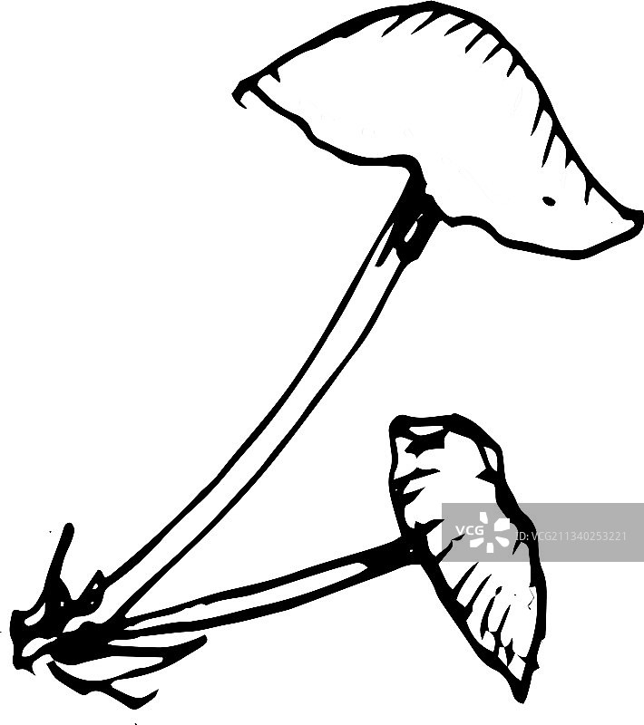 蘑菇菜单手绘图形图片素材