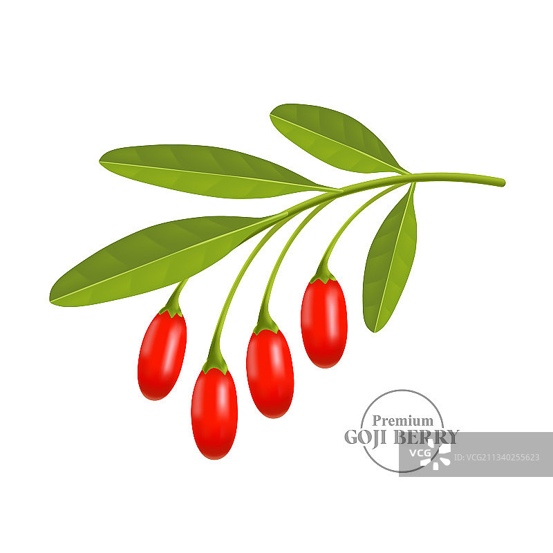 新鲜 realistic 枸杞图片素材