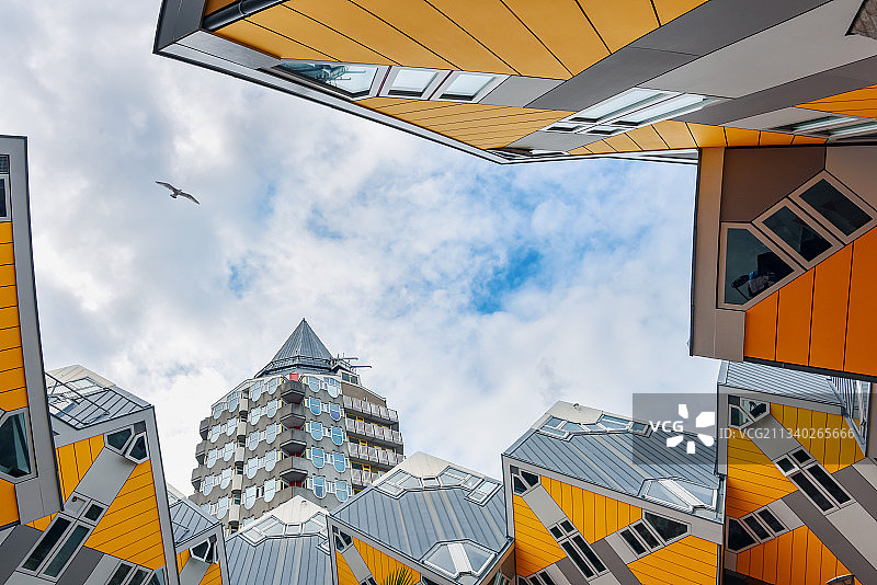 《奇异屋》图片素材