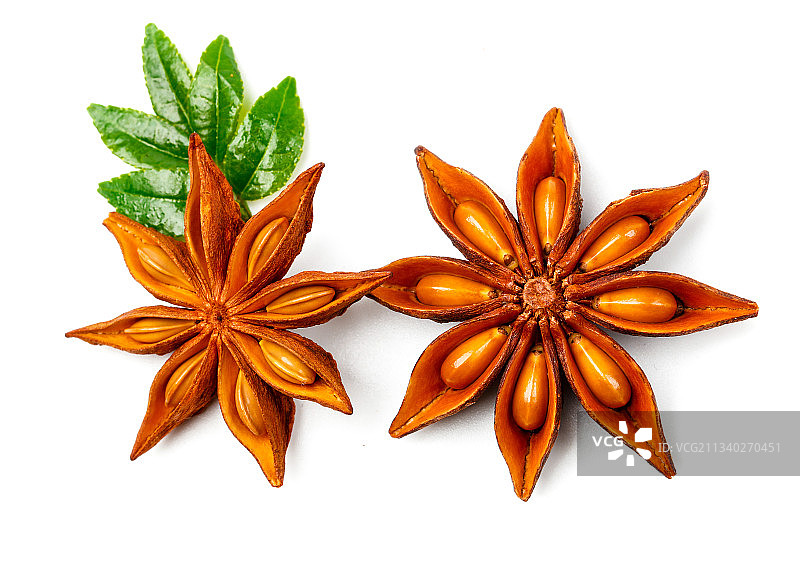 广西八角放在白底上图片素材