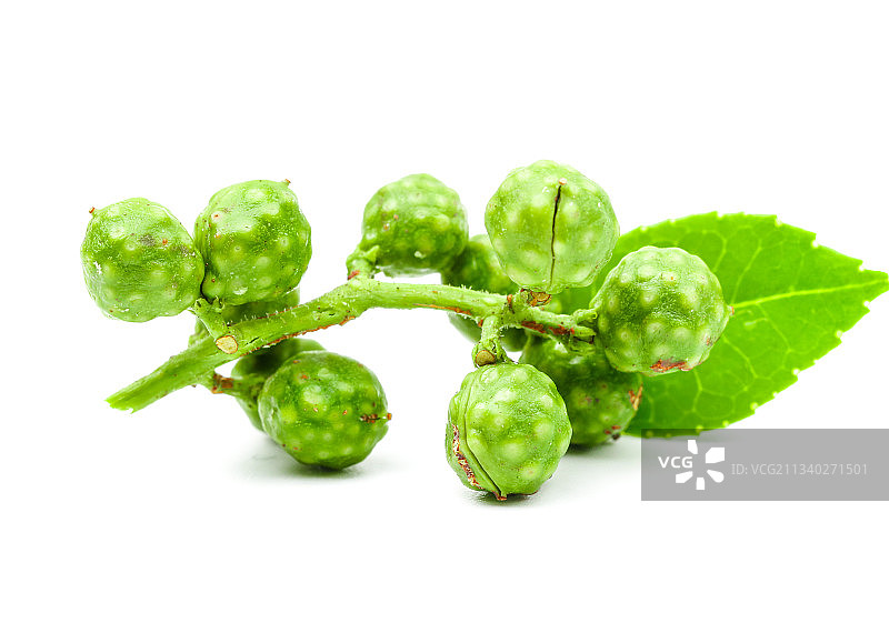 白底上的青花椒图片素材