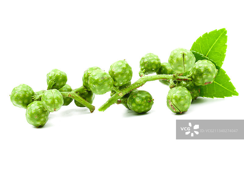 白底上的青花椒图片素材