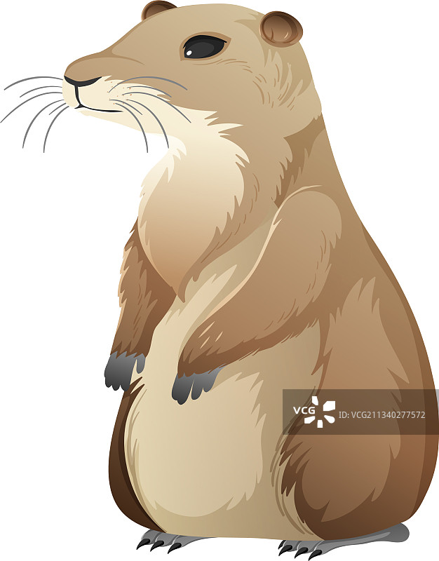 卡通草原犬图片素材