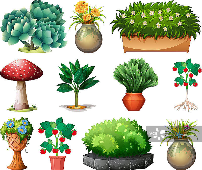 不同的盆栽植物合集（白色背景）图片素材