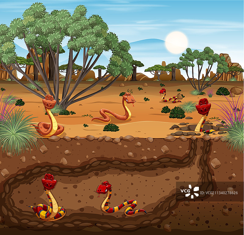 蛇类的地下动物洞穴图片素材