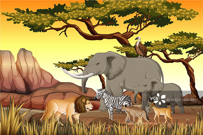 森林场景中的非洲野生动物群图片素材