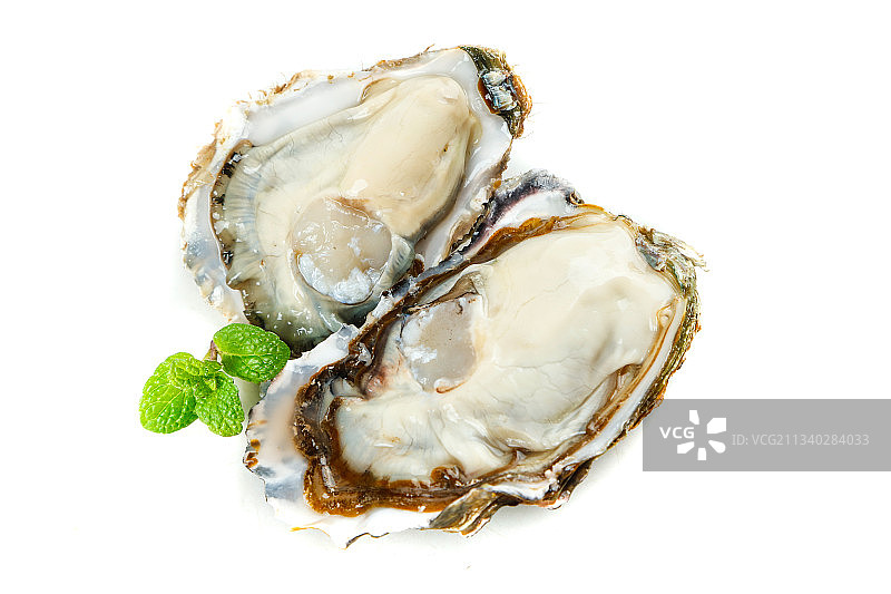 剥开的生蚝放在白底上图片素材