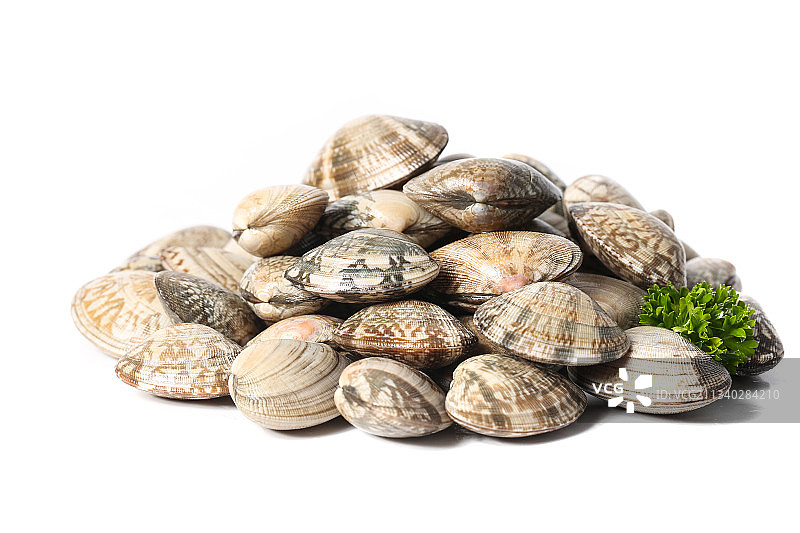 白底上的花甲图片素材