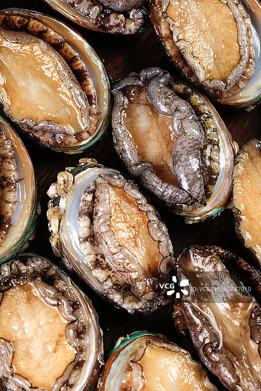 黑底上的鲍鱼图片素材