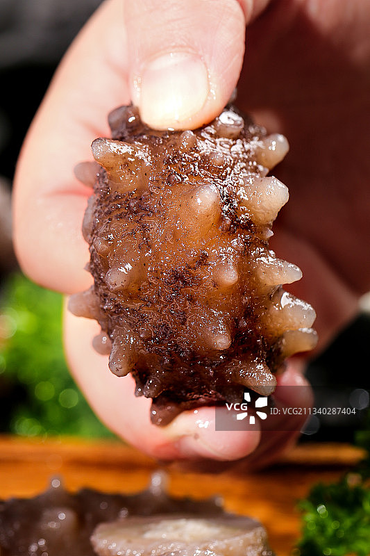 手拿海参图片素材