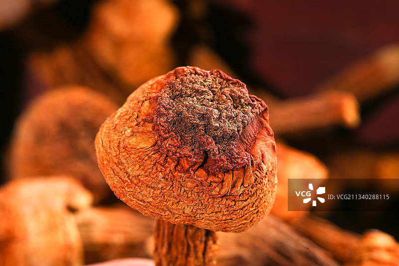 箱子里的姬松茸图片素材