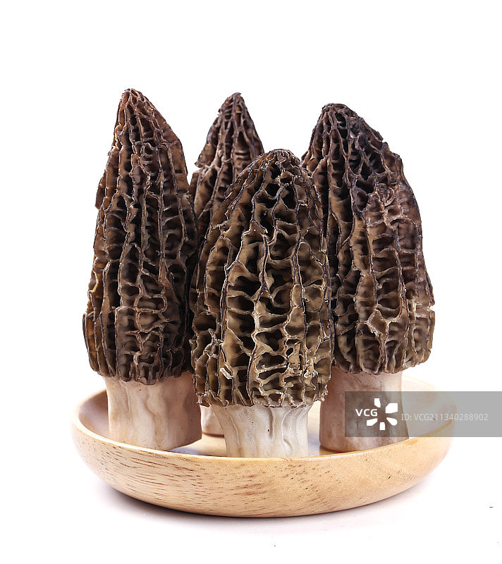 盘子装着羊肚菇图片素材
