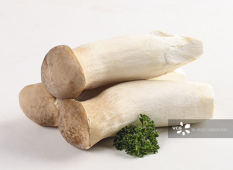 白底上放着新鲜杏鲍菇图片素材