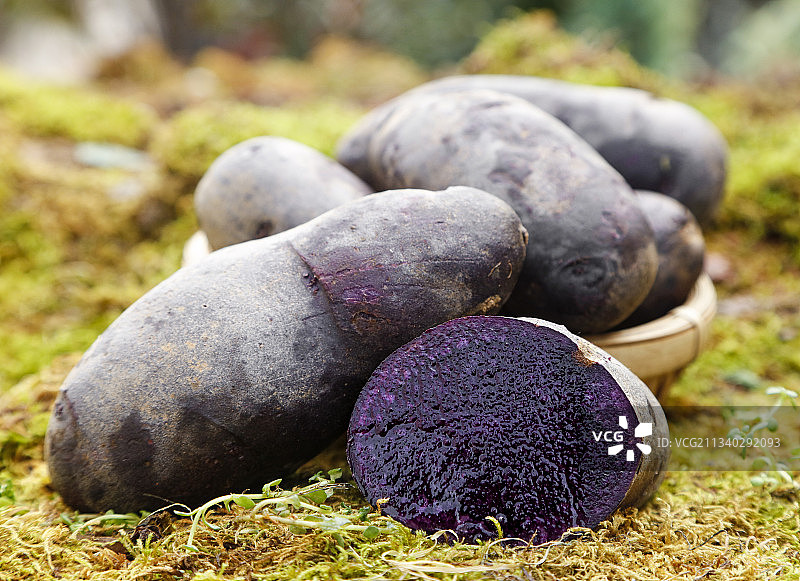篮子里装青海黑土豆图片素材