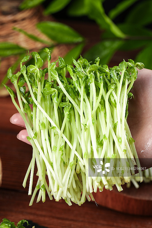 手里拿着新鲜豌豆苗图片素材