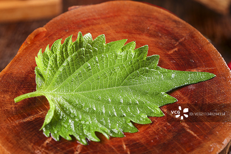 木底上的新鲜紫苏叶图片素材