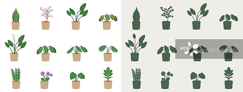 扁平风格的室内植物图片素材