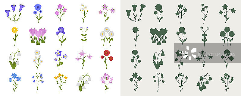 扁平风格野花合集图片素材