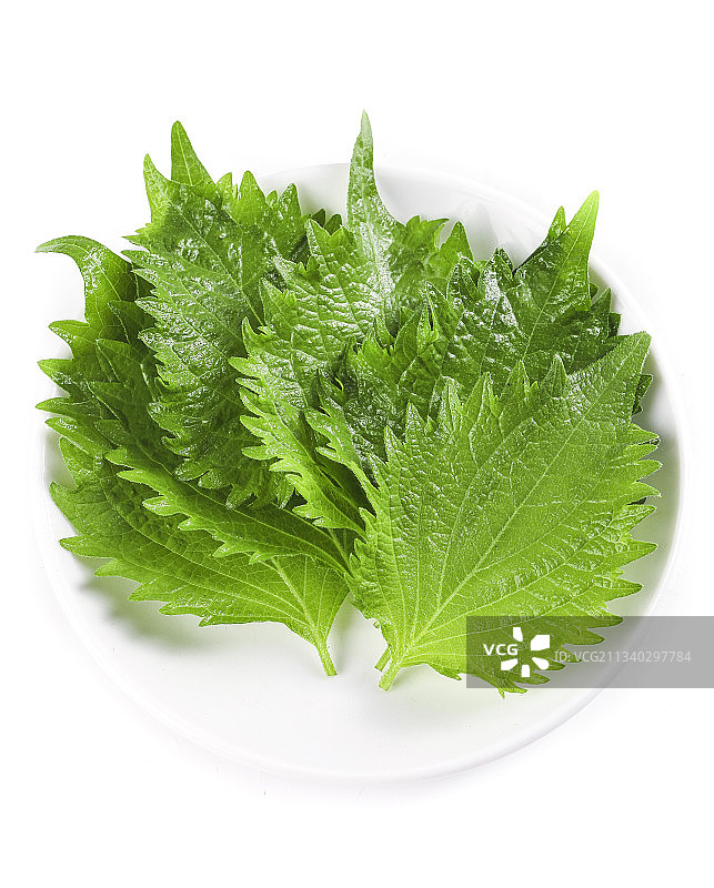 一盘紫苏叶放在白底上图片素材