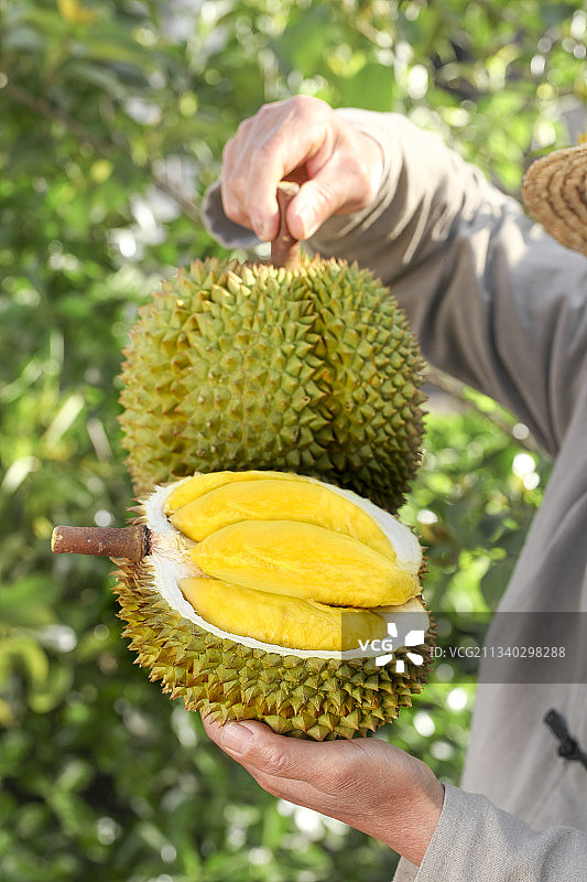 手里拿着新鲜榴莲图片素材