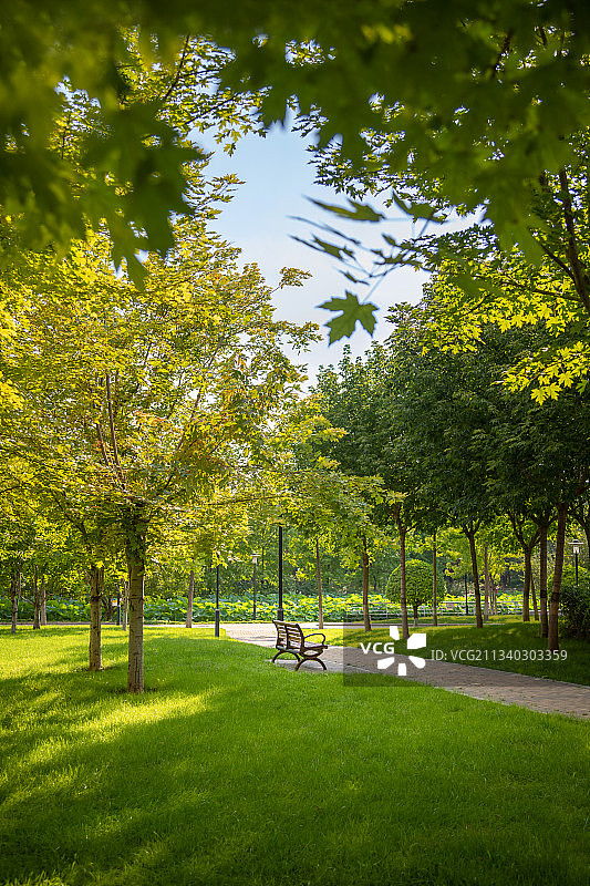 公园绿地图片素材