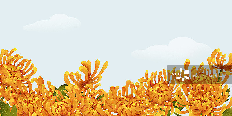 菊花横版图片素材