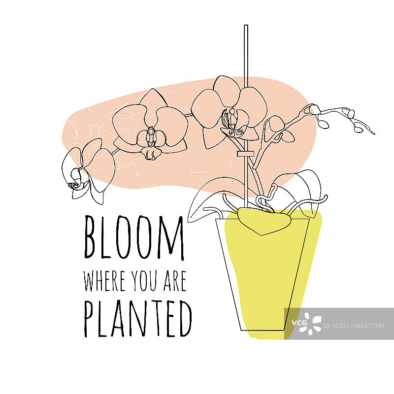 极简波西米亚风花朵引言图片素材