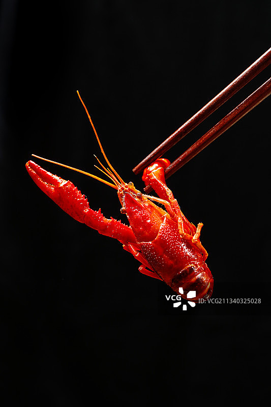 筷子上夹着小龙虾图片素材