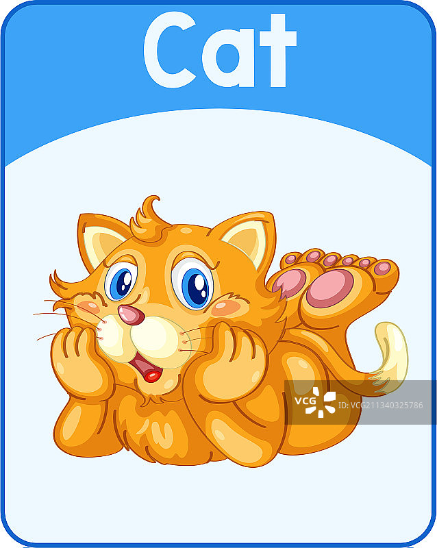 英语单词教育卡片：猫图片素材