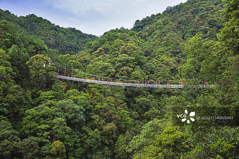 “中国最美森林”湖南省郴州市汝城县九龙江国家森林公园图片素材