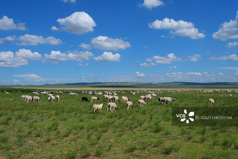 夏日里的内蒙古锡林郭勒盟锡林浩特锡林湖和草原美景图片素材