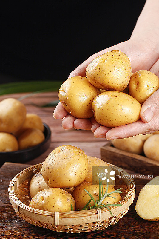 手里拿着迷你小土豆图片素材
