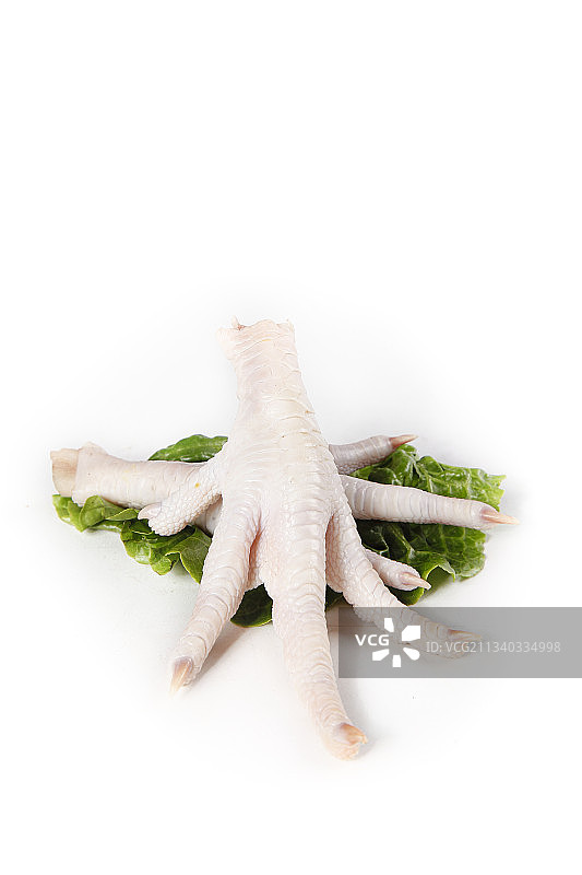 白底上的鸡脚图片素材