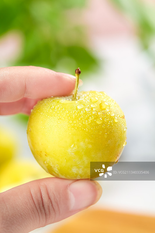 亮底上的九峰山黄金奈李图片素材