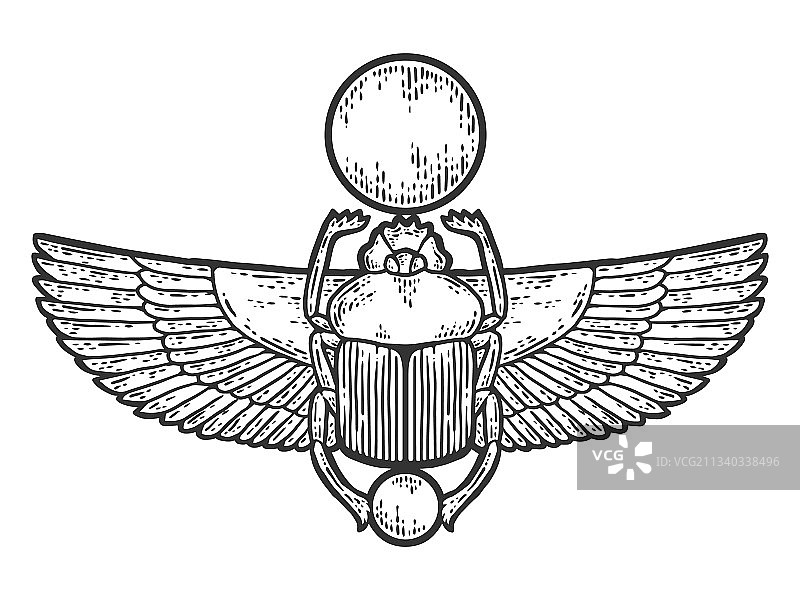 圣甲虫埃及素描刮板图片素材