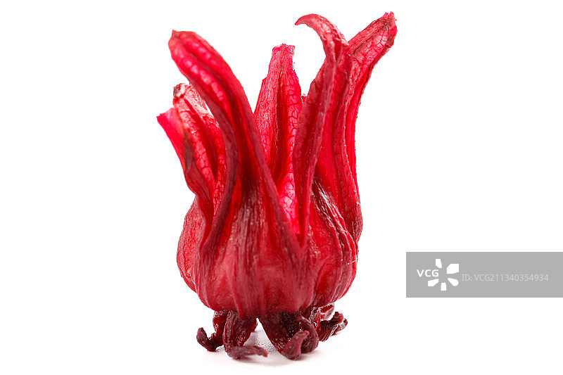 白底上放着玫瑰茄图片素材