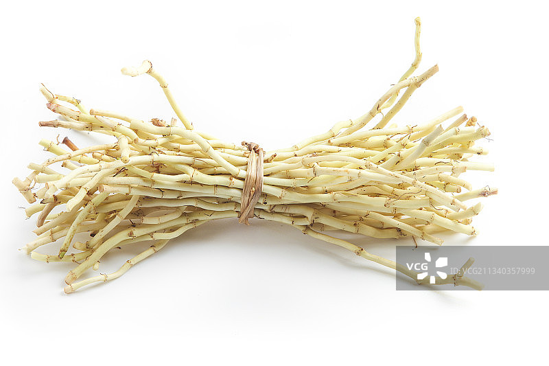 白底上的鱼腥草图片素材