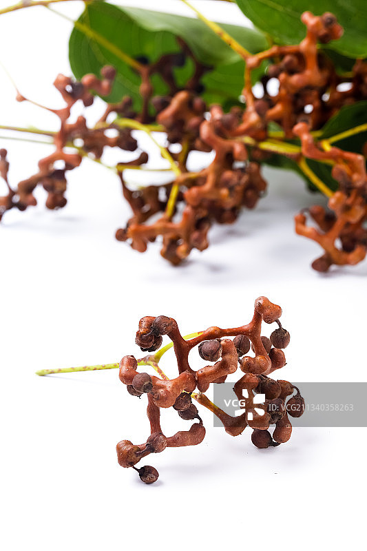 白底上放着拐枣图片素材