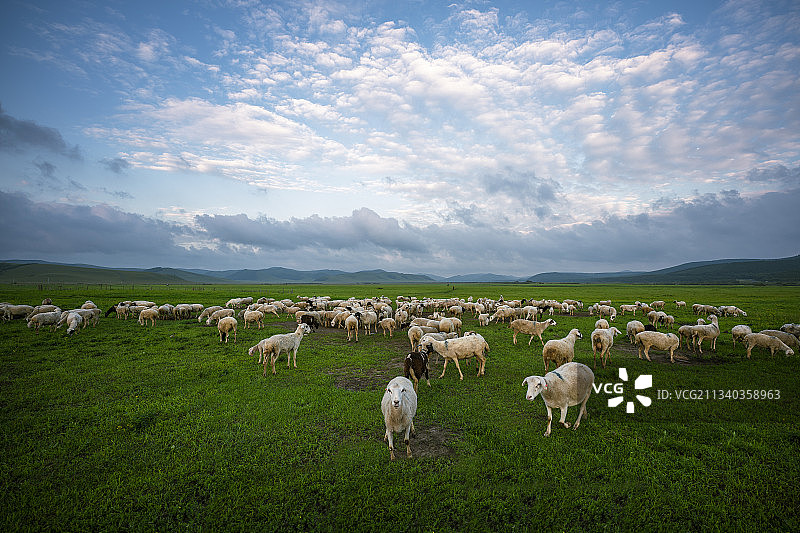 内蒙古大草原图片素材