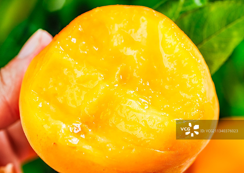 手里拿着黄桃图片素材