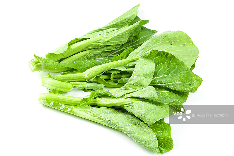 白底上放着青菜薹图片素材
